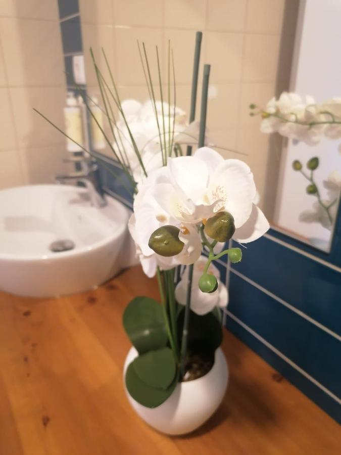 Ponta Delgada Apartamento Graciosa - Sta Catarina Place מראה חיצוני תמונה